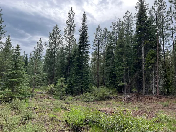 Logging Rd, Fort Klamath, OR 97626