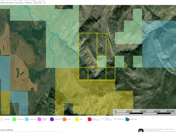 PARCEL Rp01s41e173620, Shelley, ID 83274