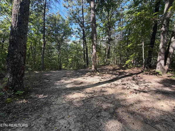 LOT 1 Mecca Pike, Tellico Plains, TN 37385
