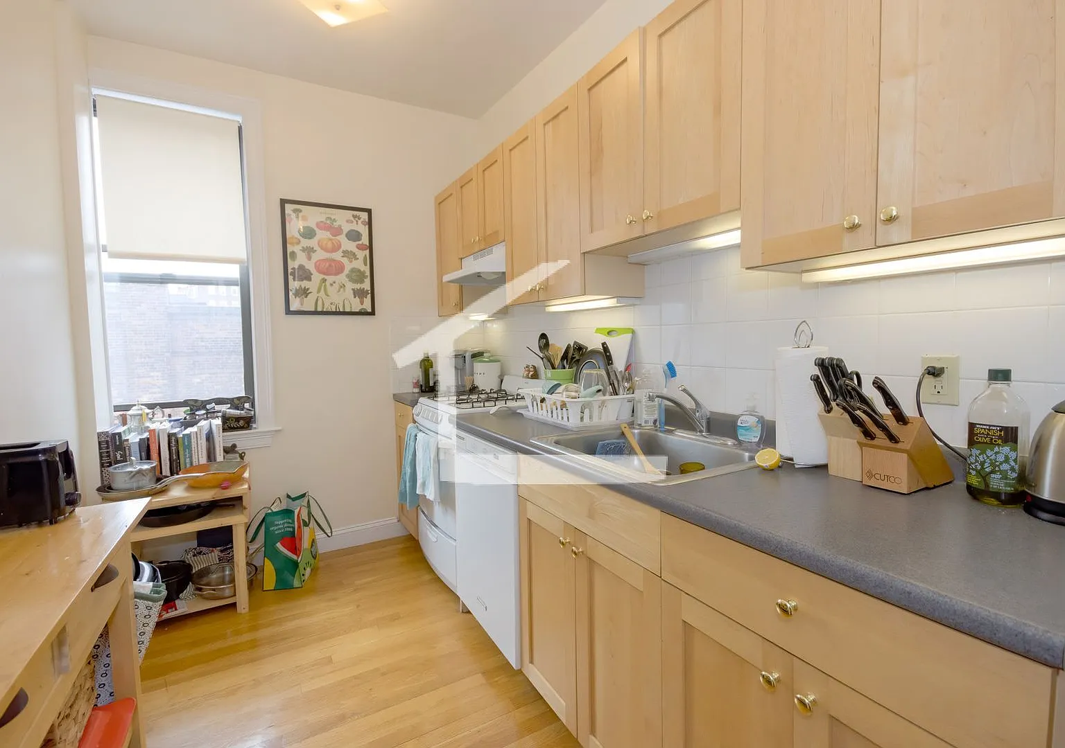 Large 2 bed in Allston — Photo 1