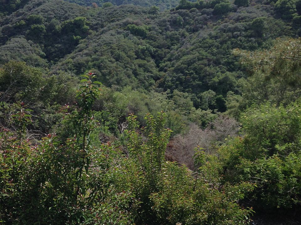 1st image of 2455 La Condesa Dr