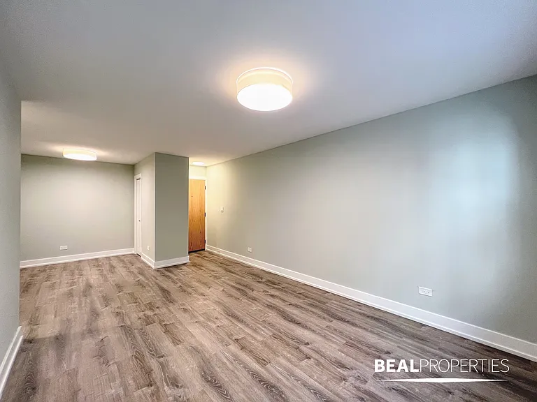 445 W Barry — Photo 83