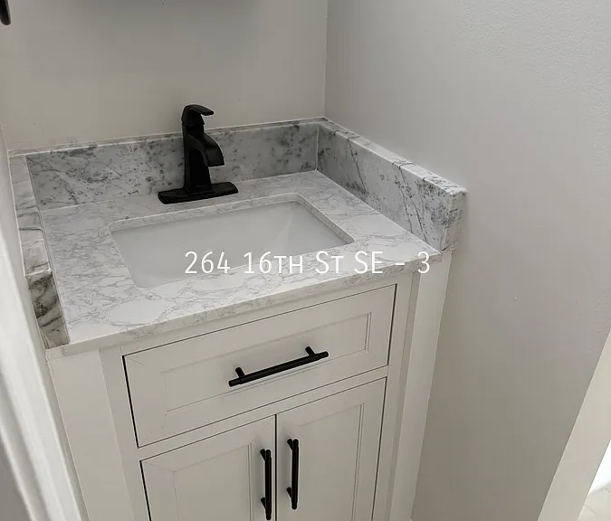 264 16th St SE #3 — Photo 10