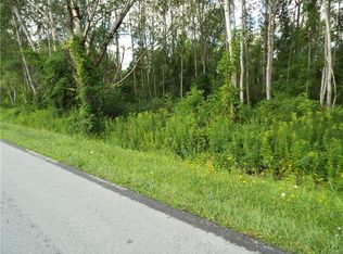 Snell Rd, Canastota, NY 13032