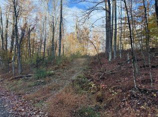 83 Stephen Rd, Little Meadows, PA 18830