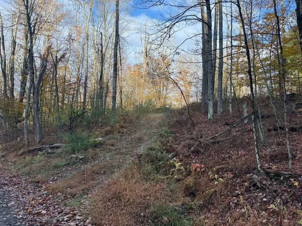 83 Stephen Rd, Little Meadows, PA 18830