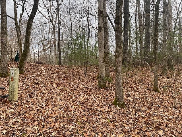1st image of 504 Piney Woods Way