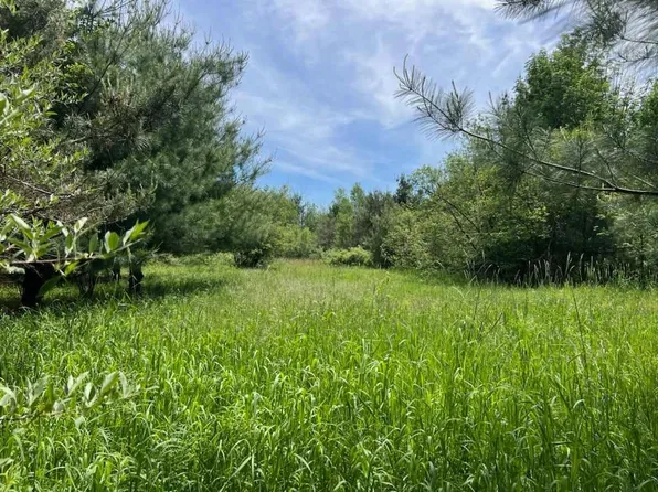 W Kendaville Rd, Stanton, MI 48888