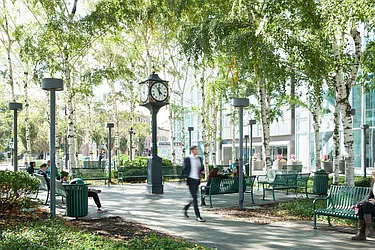 Rented by REAL New York