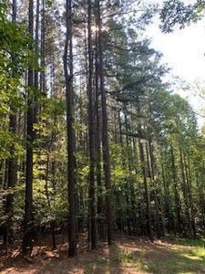 19 Lot Ln, Wirtz, VA, 24184