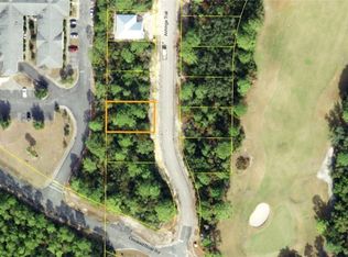 111 Anhinga Trl, Carrabelle, FL 32322