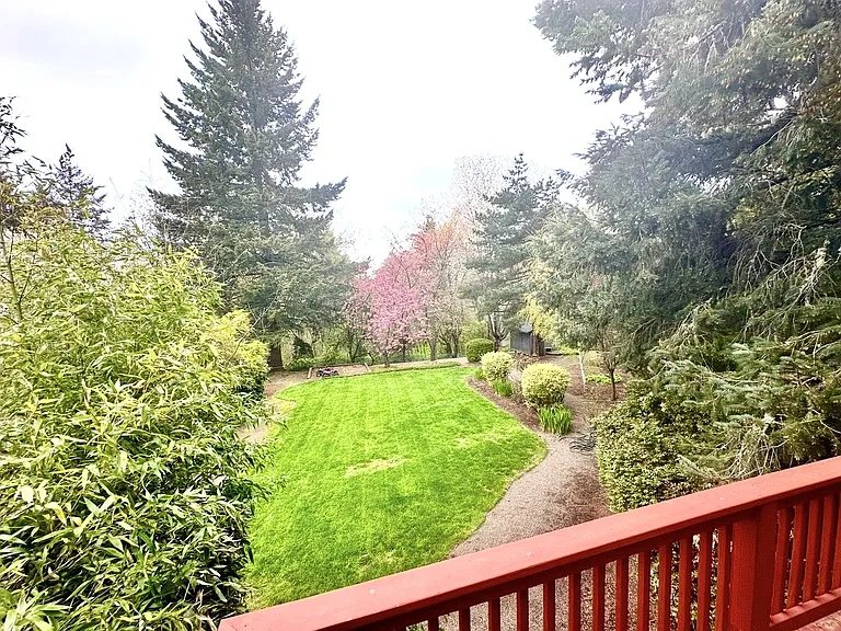 looking out over part of the yard
