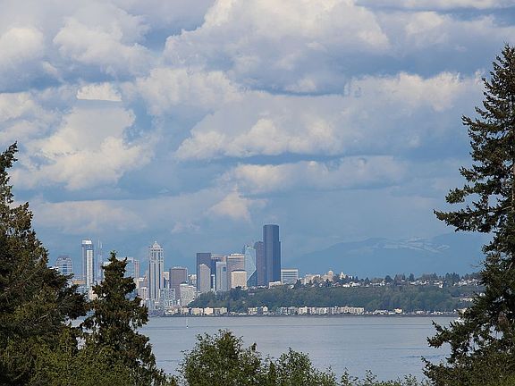 Seattle View