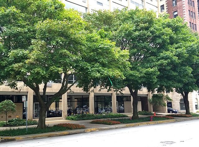 1st image of 5530 S Shore Dr APT 6C