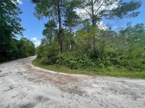 Hilda Avenue Lot #707, Paisley, FL 32767