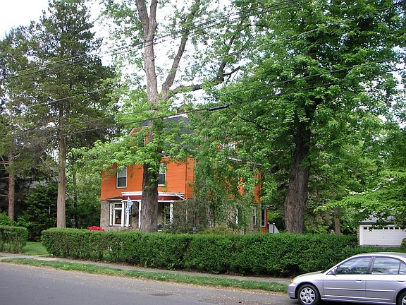 Mature trees- maple, cedar, oak, more