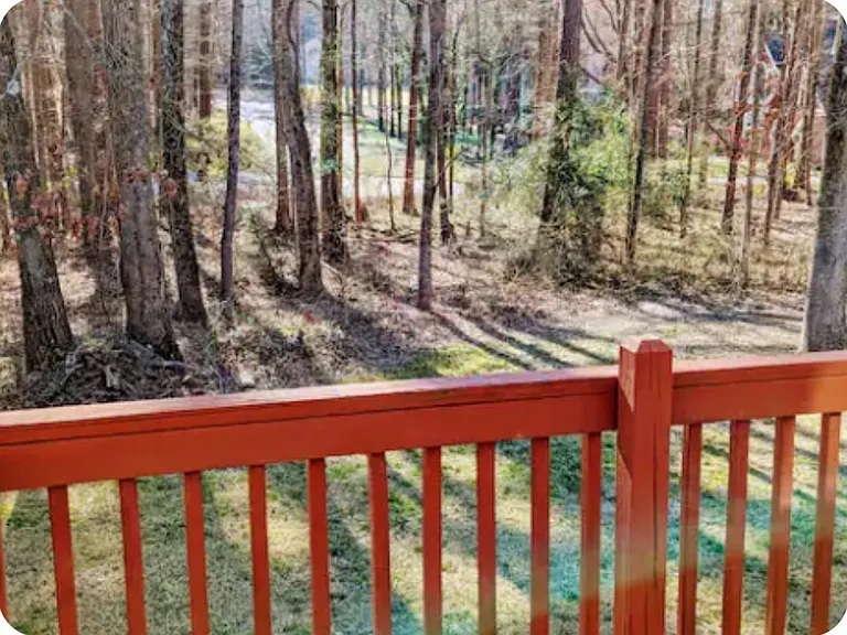 Tranquil view on back deck