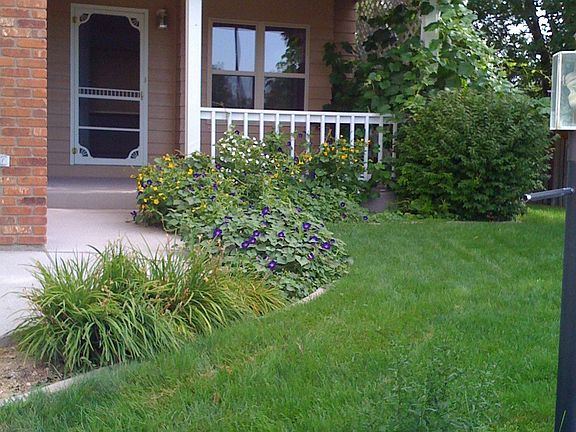 Front Yard