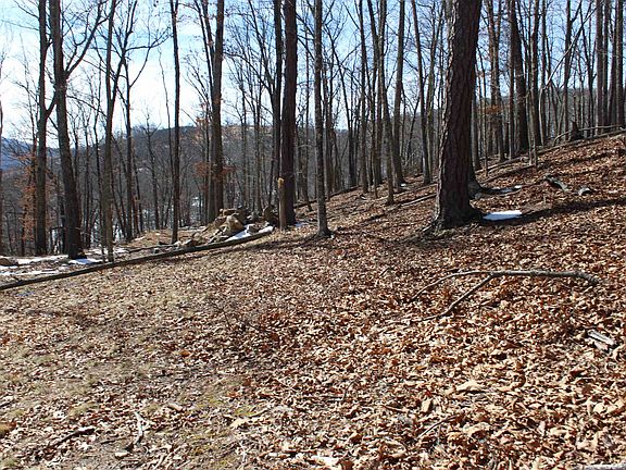 4th image of Dogwood Ln