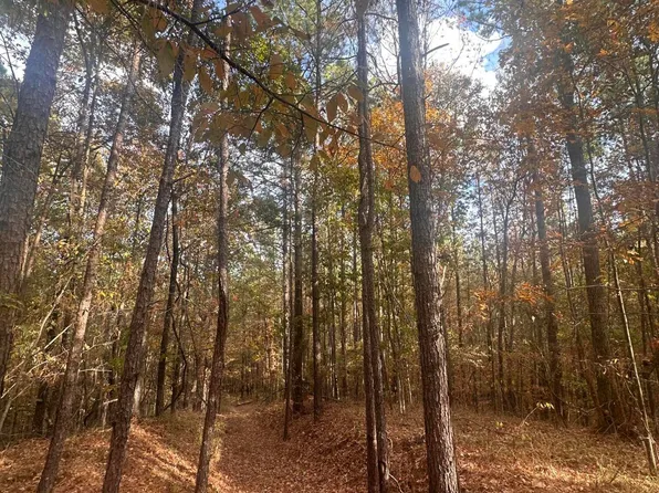 0 Salem Rd, Hazlehurst, MS 39083