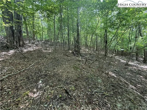 105/107 Aster Trail, Beech Mountain, NC 28604