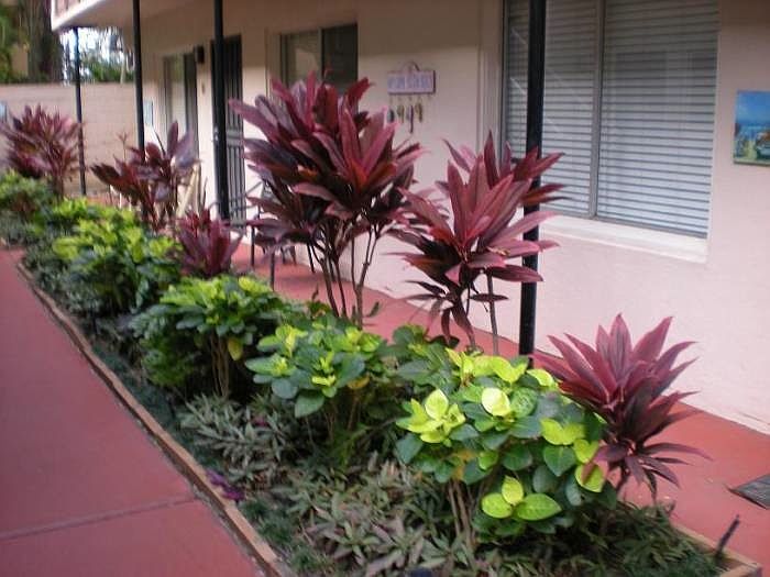 2nd image of 204 Liliuokalani Ave APT 8