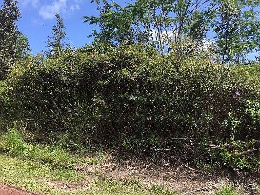 1st image of 5th Ave Lot 2435
