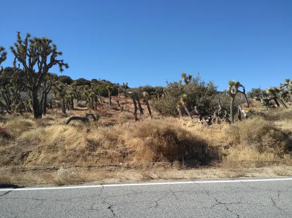 Longview Rd #S/o, Pearblossom, CA 93553