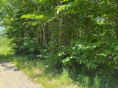 #002-006 Hilltop Lane, Princeton, ME, 04668