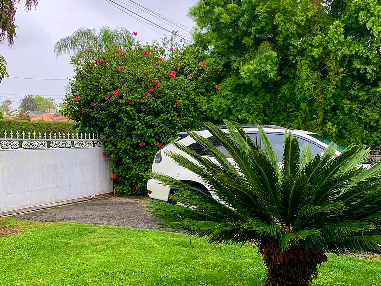 15846 Marlin Pl — Photo 19