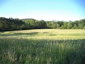 2nd image of 90 State Line Rd