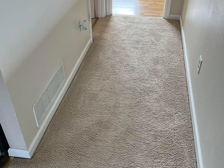1810 Colony Pl — Photo 15