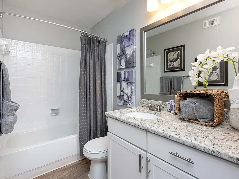 Sequoia floor plan bathroom 1x1 750 sq ft