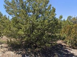 W Snowline Dr, Eagar, AZ 85925