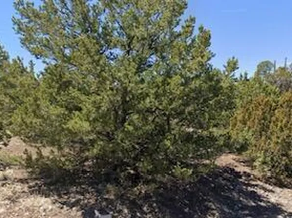 - W Snowline Drive #-, Eagar, AZ 85925