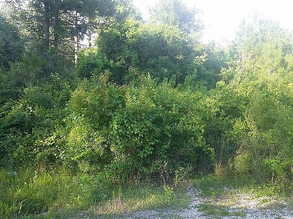 5th image of 8426 Woodleigh Rd