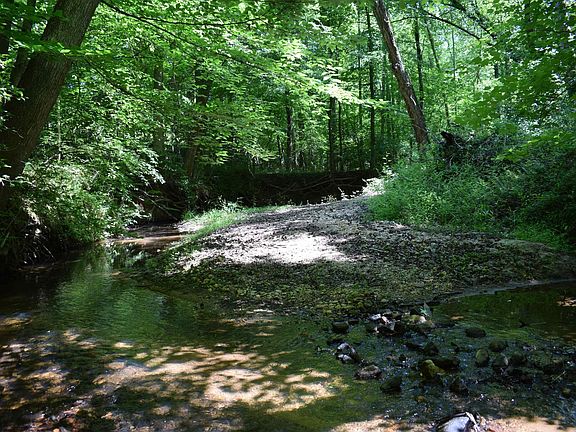 2nd image of Floyd Blackwell Rd