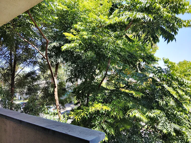 18640 Collins St #201 — Photo 20