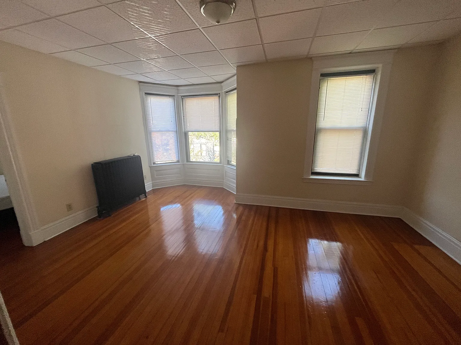 1 bed, $1,250 — Photo 3