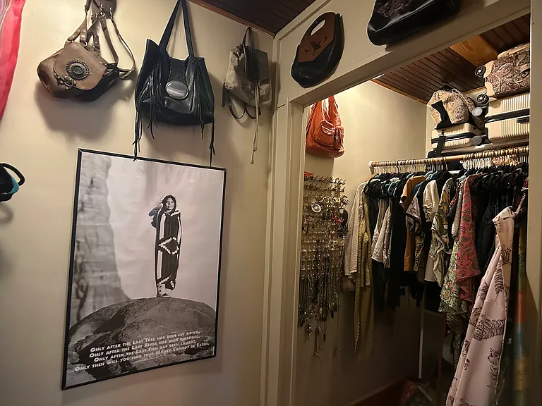 bedroom closet- side 1