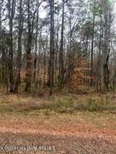 0 Lime Ln, Dadeville, AL, 36853
