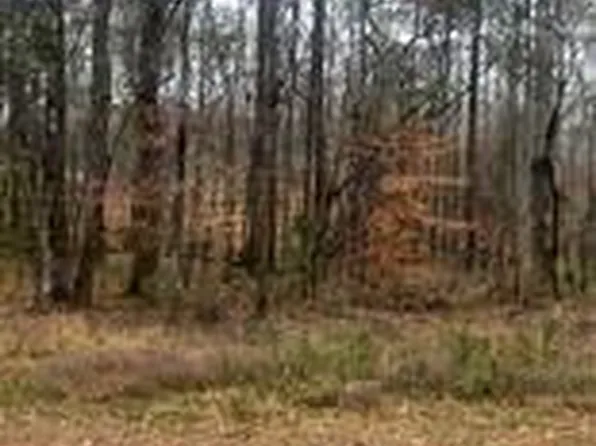 0 Lime Ln, Dadeville, AL 36853