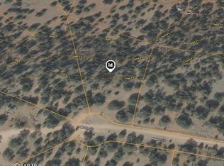 55462 N Madre Cir, Seligman, AZ 86337