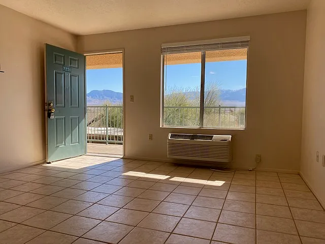Studio, 335 sqft, $785 — Photo 2