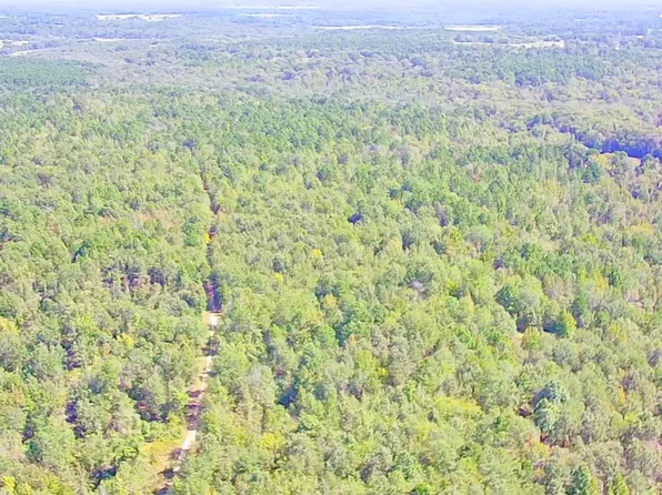 County Road 245 S, Kilgore, TX 75662