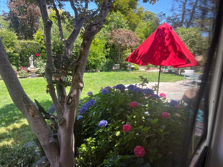 15 Sage Ct — Photo 9