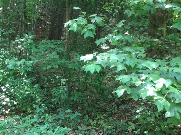 LOT 31 Den Ridge Dr, Walhalla, SC 29691