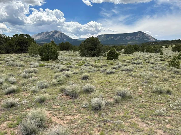 51 Colorado Land Grazing, Gardner, CO 81040