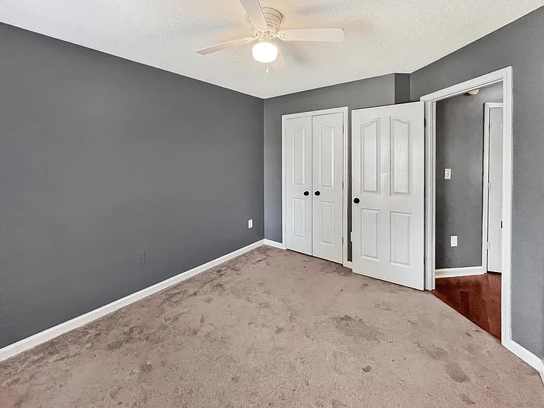 3903 Black Walnut Dr — Photo 6