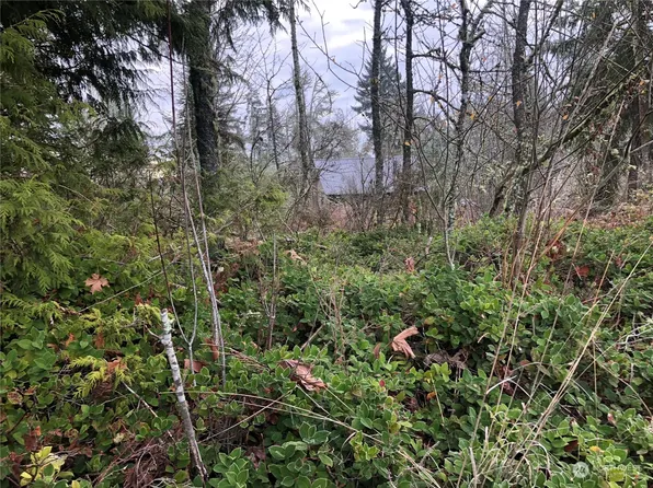 30800 Orville Road E, Graham, WA 98338